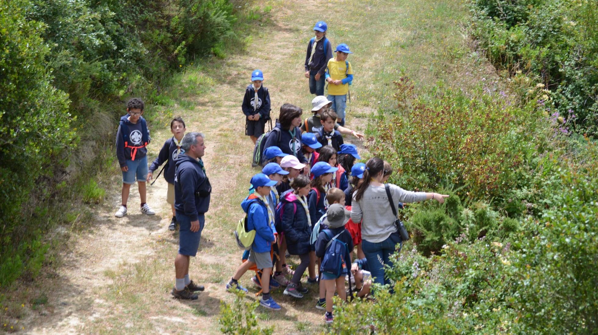 Environmental Education